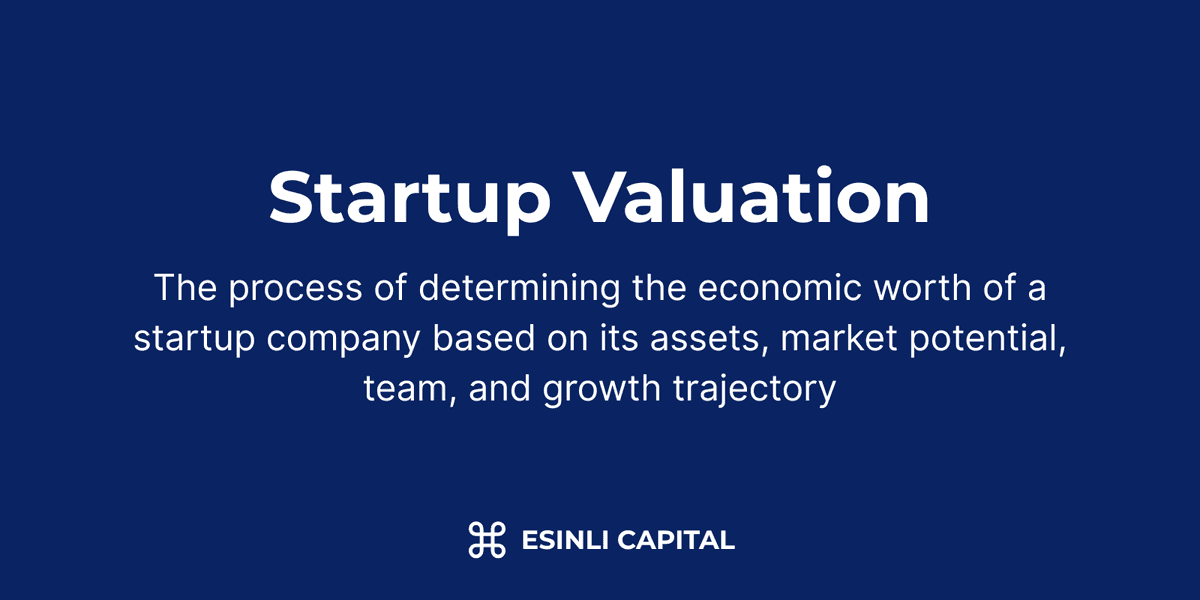 Startup Valuation: The process of determining the economic worth of a startup company based on its assets, market potential, team, and growth trajectory
