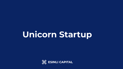 Unicorn Startups: Path to Billion-Dollar Valuation & Investment Implications