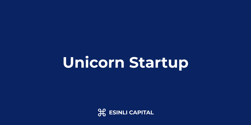 Unicorn Startups: Path to Billion-Dollar Valuation & Investment Implications