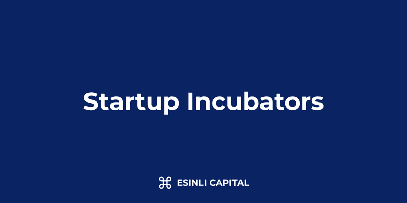 Startup Incubators: Services, Equity Models & Selection Criteria