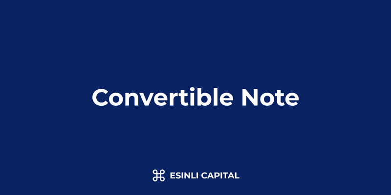 Convertible Note: Definition, Terms & Conversion Mechanics