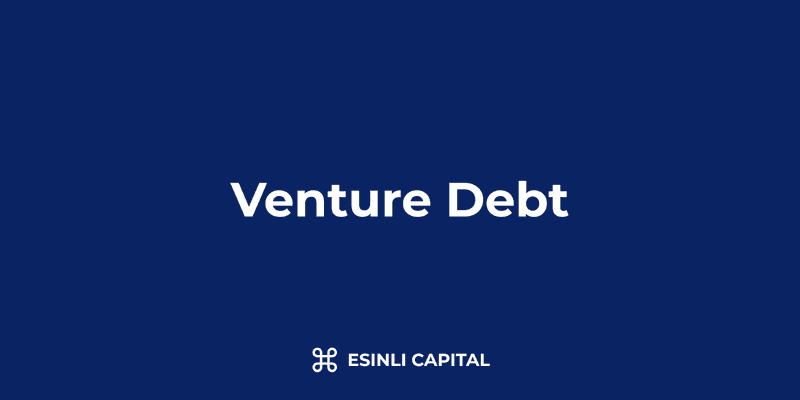 Venture Debt: Definition, Terms & Strategic Applications