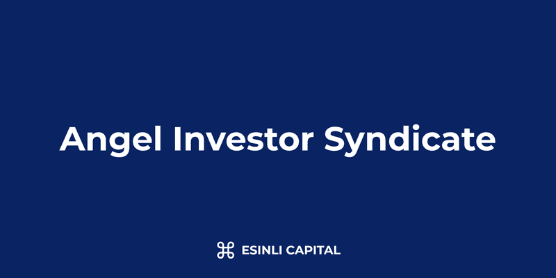 Angel Investor Syndicate: Formation, Management & Investment Terms