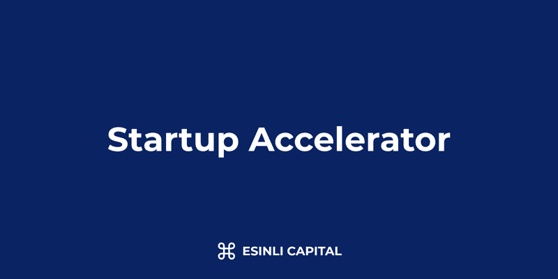 Startup Accelerator Programs: Benefits, Structure & Selection Process