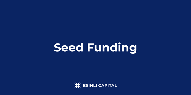 Seed Funding: Definition, Process & Typical Terms