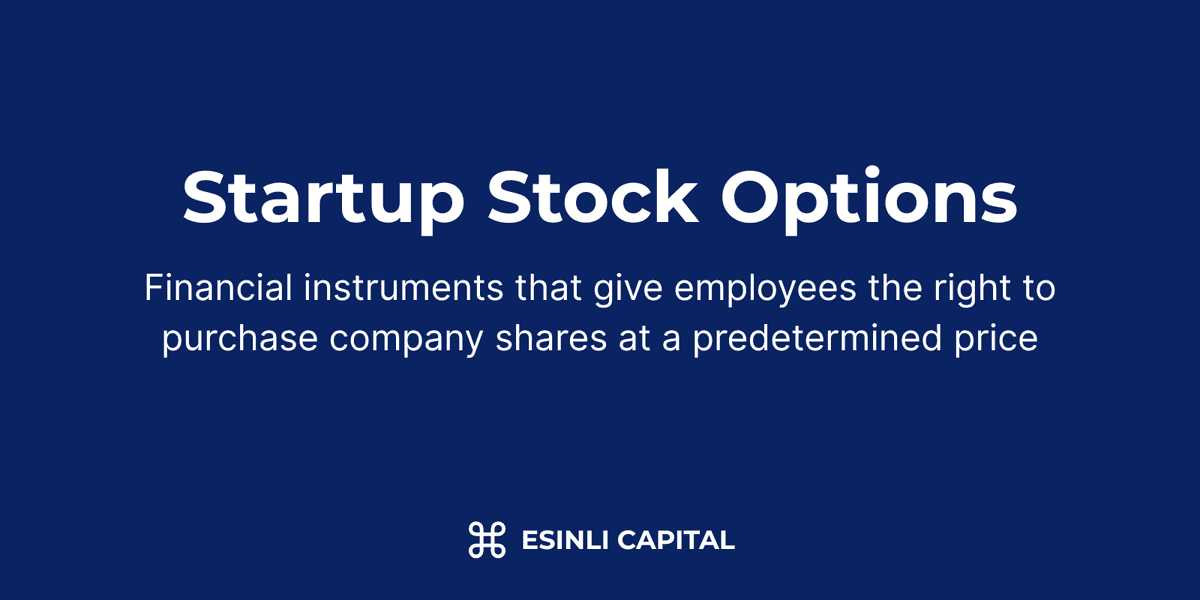 Startup Stock Options: Financial instruments that give employees the right to purchase company shares at a predetermined price