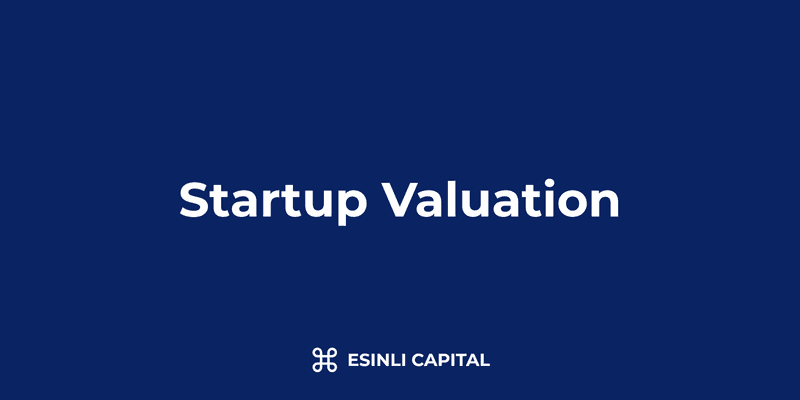 How to Value a Startup: Methods & Examples