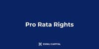 Pro Rata Rights: Definition, Value & Implementation | Esinli Capital