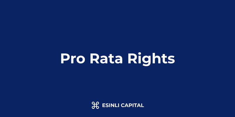 Pro Rata Rights: Definition, Value & Implementation