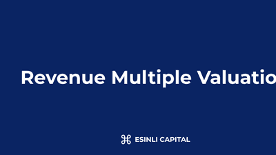 Revenue Multiple Valuation: How LPs Read Fund Entry Pricing