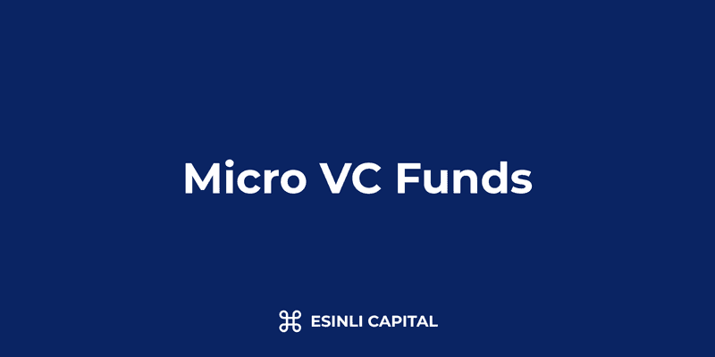 Micro VC Funds: Structure, Focus & Investment Approach